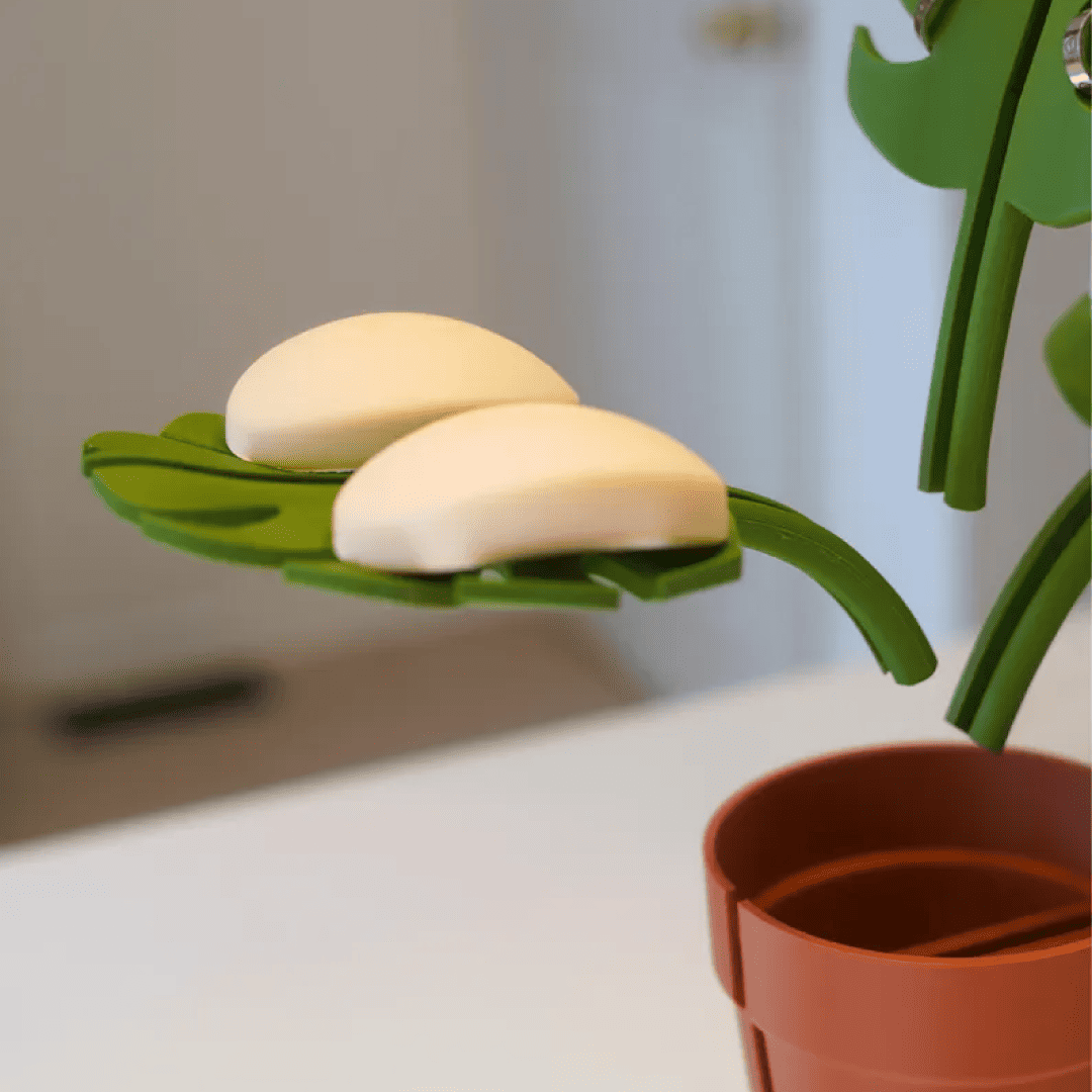 Mirror Monstera Bathroom Organizer